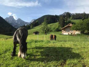 Au Pré des Chevaux